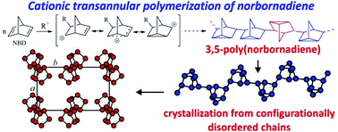 Graphical abstract: Synthesis, chain conformation and crystal structure of poly(norbornadiene) having repeating 3,5-enchained nortricyclene units