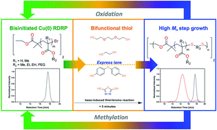 Graphical abstract: Fast track access to multi-block copolymers via thiol-bromo click reaction of telechelic dibromo polymers