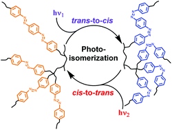Graphical abstract: Photoresponsive polymers with multi-azobenzene groups