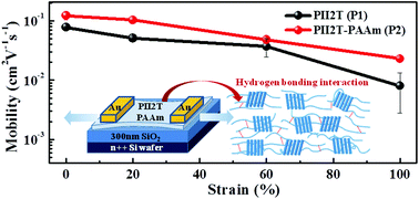 Graphical abstract: Intrinsically stretchable isoindigo–bithiophene conjugated copolymers using poly(acrylate amide) side chains for organic field-effect transistors