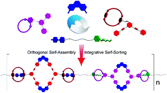 Graphical abstract: Engineering orthogonality in the construction of an alternating rhomboidal copolymer with high fidelity via integrative self-sorting