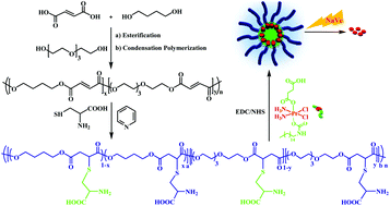 Graphical abstract: Design of zwitterionic polyester based nano-carriers for platinum(iv) prodrug delivery