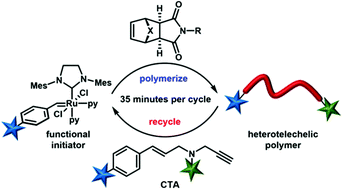 Graphical abstract: Pulsed-addition ring-opening metathesis polymerization with functional enyne reagents