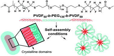 Graphical abstract: “One-pot” aminolysis/thia-Michael addition preparation of well-defined amphiphilic PVDF-b-PEG-b-PVDF triblock copolymers: self-assembly behaviour in mixed solvents