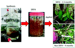 Graphical abstract: Slow release fertilizer hydrogels: a review