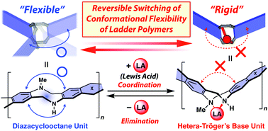 Graphical abstract: Switching of the conformational flexibility of a diazacyclooctane-containing ladder polymer by coordination and elimination of a Lewis acid