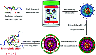 Graphical abstract: Dual-drug delivery based charge-conversional polymeric micelles for enhanced cellular uptake and combination therapy