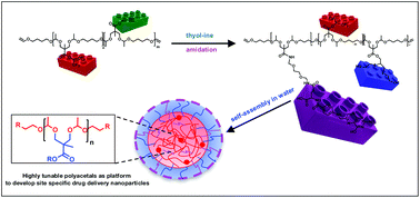 Graphical abstract: Orthogonally functionalizable polyacetals: a versatile platform for the design of acid sensitive amphiphilic copolymers