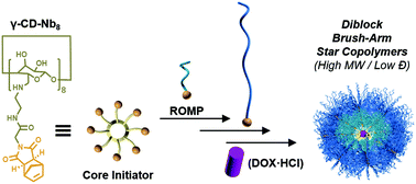 Graphical abstract: Diblock brush-arm star copolymers via a core-first/graft-from approach using γ-cyclodextrin and ROMP: a modular platform for drug delivery