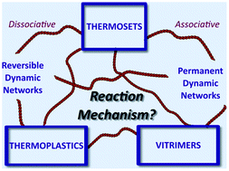 Graphical abstract: Dynamic covalent chemistry in polymer networks: a mechanistic perspective
