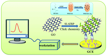 Graphical abstract: Preparation of a novel sandwich-type electrochemical immunosensor for AFP detection based on an ATRP and click chemistry technique