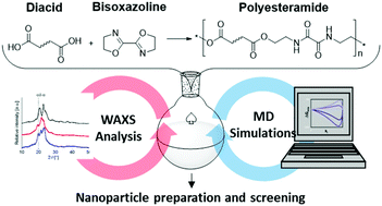 Graphical abstract: A polyesteramide library from dicarboxylic acids and 2,2′-bis(2-oxazoline): synthesis, characterization, nanoparticle formulation and molecular dynamics simulations