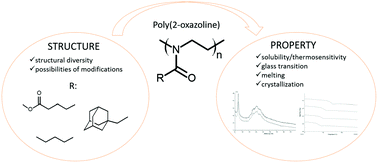 Graphical abstract: Thermal and crystalline properties of poly(2-oxazoline)s