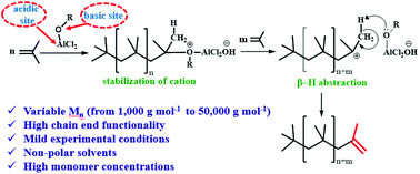 Graphical abstract: Alkoxy aluminum chlorides in the cationic polymerization of isobutylene: a co-initiator, carbocation stabilizer and chain-transfer agent