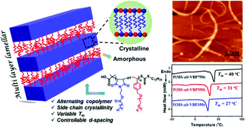 Graphical abstract: Modulation of side chain crystallinity in alternating copolymers