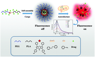 Graphical abstract: Real-time near-infrared fluorescence reporting the azoreductase-triggered drug release