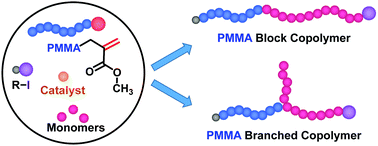 Graphical abstract: Synthesis of block copolymers using poly(methyl methacrylate) with unsaturated chain end through kinetic studies
