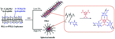 Graphical abstract: Melamine-mediated supramolecular assembly of nucleobase-modified poly(l-lysine)
