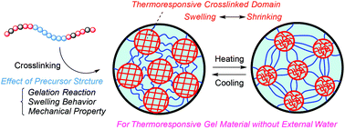 Graphical abstract: Swelling and mechanical properties of thermoresponsive/hydrophilic conetworks with crosslinked domain structures prepared from various triblock precursors