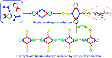 Graphical abstract: Supramolecular metallacyclic hydrogels with tunable strength switched by host–guest interactions