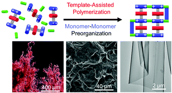 Graphical abstract: Augmented polyhydrazone formation in water by template-assisted polymerization using dual-purpose supramolecular templates