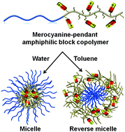 Graphical abstract: Supramolecularly cross-linked amphiphilic block copolymer assembly by the dipolar interaction of a merocyanine dye