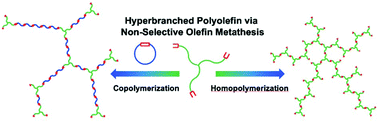 Graphical abstract: Synthesis of hyperbranched polyolefins and polyethylenes via ADMET of monomers bearing non-selective olefins