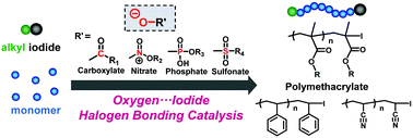 Graphical abstract: Carboxylate, nitrate, sulfonate, and phosphate catalysts for living radical polymerization via oxygen–iodine halogen bonding catalysis