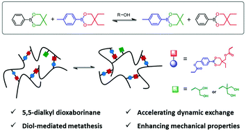 Graphical abstract: Thermally healable and reprocessable polymethacrylate networks based on diol-mediated metathesis of 6-membered boronic esters