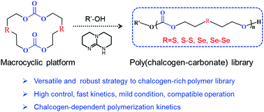 Graphical abstract: Tailor-made chalcogen-rich polycarbonates: experimental and computational insights into chalcogen group-dependent ring opening polymerization