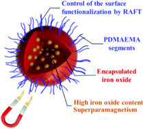 Graphical abstract: Synthesis of double-responsive magnetic latex particles via seeded emulsion polymerization using macroRAFT block copolymers as stabilizers