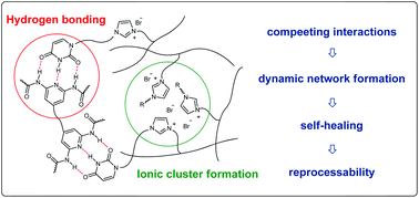 Graphical abstract: Self-healing and reprocessable bromo butylrubber based on combined ionic cluster formation and hydrogen bonding