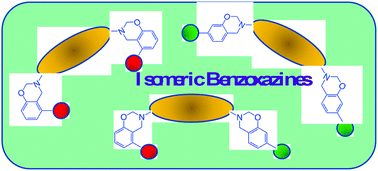 Graphical abstract: Electronic effects of asymmetric and meta-alkoxy substituents on the polymerization behavior of bis-benzoxazines
