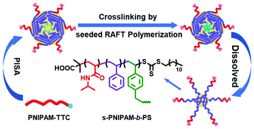 Graphical abstract: Star amphiphilic block copolymers: synthesis via polymerization-induced self-assembly and crosslinking within nanoparticles, and solution and interfacial properties