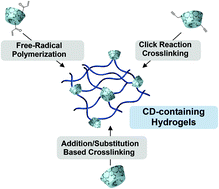 Graphical abstract: Cyclodextrin embedded covalently crosslinked networks: synthesis and applications of hydrogels with nano-containers