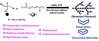 Graphical abstract: Preparation of hyperbranched polymers by oxa-Michael addition polymerization