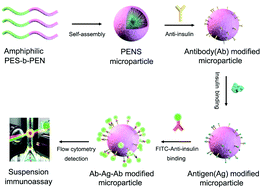 Graphical abstract: Synthesis and self-assembly of polyethersulfone-based amphiphilic block copolymers as microparticles for suspension immunosensors