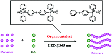 Graphical abstract: Organocatalyzed atom transfer radical polymerization (ATRP) using triarylsulfonium hexafluorophosphate salt (THS) as a photocatalyst