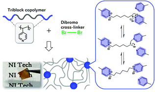 Graphical abstract: Functionalization of triblock copolymer elastomers by cross-linking the end blocks via trans-N-alkylation-based exchangeable bonds