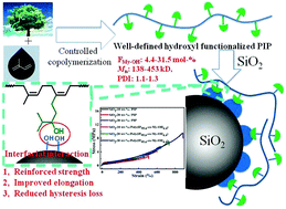 Graphical abstract: Synthesis and properties investigation of hydroxyl functionalized polyisoprene prepared by cobalt catalyzed co-polymerization of isoprene and hydroxylmyrcene