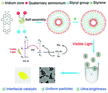 Graphical abstract: Preparation of fluorescent polystyrene nanoparticles mediated by a multi-functional amphiphilic iridium complex under visible light irradiation in aqueous solution