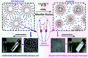 Graphical abstract: An anti-pressure, fatigue-resistant and rapid self-healing hydrogel based on a nano-micelle assembly