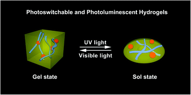 Graphical abstract: Natural lignin nanoparticles: a promising nano-crosslinker for constructing fluorescent photoswitchable supramolecular hydrogels