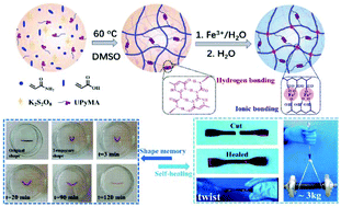 Graphical abstract: Mechanically strong and tough hydrogels with pH-triggered self-healing and shape memory properties based on a dual physically crosslinked network