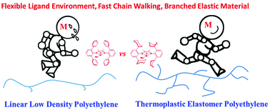Graphical abstract: Flexible cycloalkyl substituents in insertion polymerization with α-diimine nickel and palladium species
