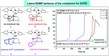 Graphical abstract: An additional potential donor-bearing alkylidene-containing latent NHC–ruthenium-based catalyst for olefin metathesis polymerization