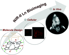 Graphical abstract: A proof-of-concept application of water-soluble ytterbium(iii) molecular probes in in vivo NIR-II whole body bioimaging