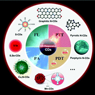 Graphical abstract: Recent insights into near-infrared light-responsive carbon dots for bioimaging and cancer phototherapy