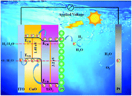Graphical abstract: Exposing the photocorrosion mechanism and control strategies of a CuO photocathode