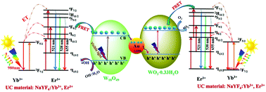 Graphical abstract: Broadband photocatalysis using a Z-scheme heterojunction of Au/NaYF4:Yb,Er/WO3·0.33H2O-W18O49via a synergetic strategy of upconversion function and plasmonic effect